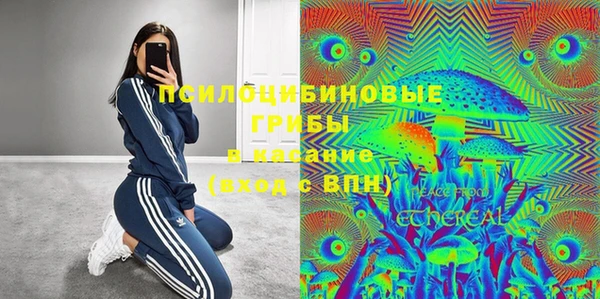 бошки Алзамай