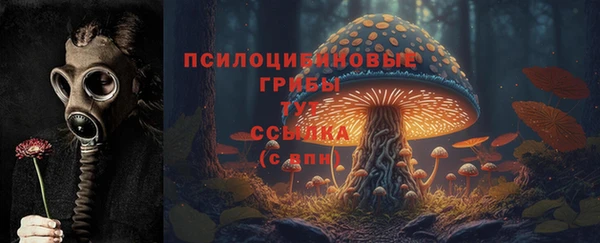 МДМА Медвежьегорск