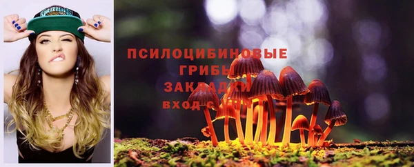 амфетамин Алексеевка