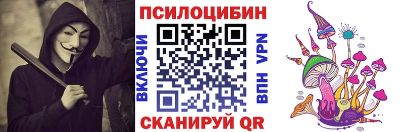 как найти закладки  Владивосток  нарко площадка наркотические препараты  Галлюциногенные грибы Psilocybe 